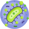 Biologia e Geologia​